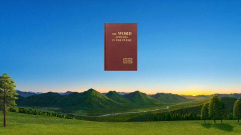 Kungani umsebenzi kaNkulunkulu ezinsukwini zokugcina ungenziwa ngokusebenzisa uMoya? Kungani uNkulunkulu eze ukuzokwenza umsebenzi Wakhe esenyameni?