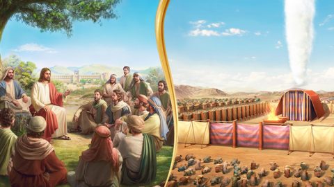 Yini umehluko phakathi komsebeni kaNkulunkulu esenyameni kanye nomsebenzi kaMoya?