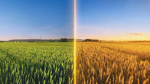 Ukusindiswa Nokusindiswa Okugcwele