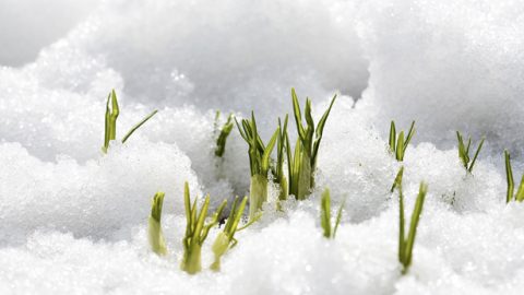 Amandla Okuphila Angenakuqedwa