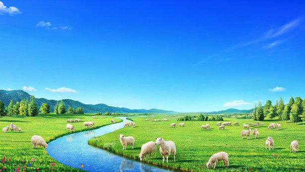 Indlela Yokuphila Okuphakade