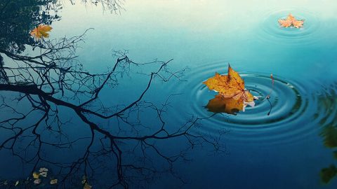 Yini imvelo yenkinga yokuba umuntu angalazisi iqiniso elichazwe nguKristu? Yini umphumela wokuba umuntu engathathi uKristu njengoNkulunkulu?