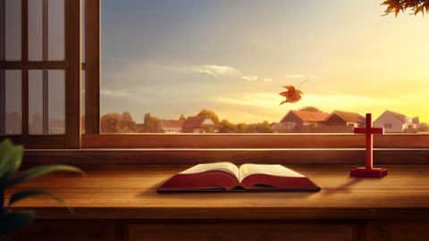 Ayikho indlela yokuphila okungunaphakade ngaphakathi eBhayibhelini; uma umuntu ebambelela eBhayibhelini futhi alikhonze, lapho-ke ngeke akuthole ukuphila okungunaphakade