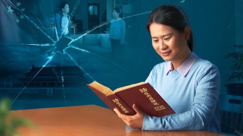 Isivunguvungu Esadaleka Ekhaya Ngodaba LwaseZhaoyuan Lomhla ka- 28 kuMeyi