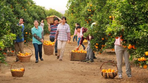 Ukubona Ukondla KukaNkulunkulu Isintu Kusukela Esimweni Sokuphila Okuyisisekelo UNkulunkulu Asidalela Isintu