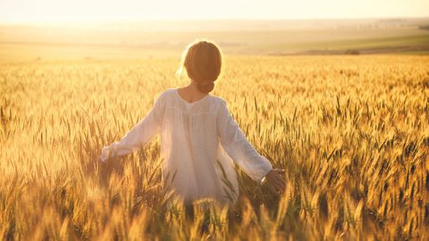 Indawo Yokuphila Eyisisekelo uNkulunkulu Ayenzela Isintu: Amazinga okushisa nokubanda