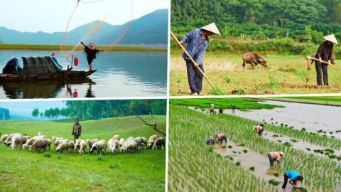 Imingcele Yakheke Ngenxa Yezindlela Ezahlukahlukene Zokuphila Kwesintu