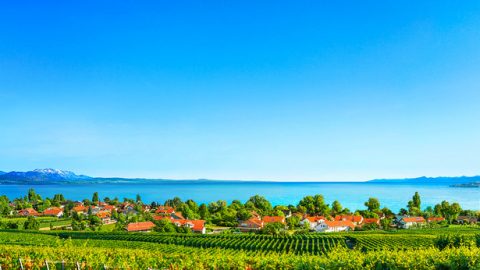 UNkulunkulu Udala, Abuse, Futhi Aphathe Konke Ngenxa Yokuphila Kwesintu Kuphela