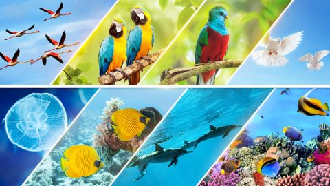 Ngosuku Lwesihlanu, Ukuphila Okuyizimo Eziningi Nezahlukehlukene Kuveza Igunya LoMdali Ngezindlela Ezehlukene