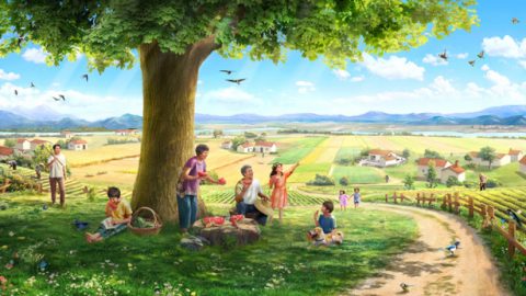 Indaba 1. Imbewu, Umhlaba, Isihlahla, Ukukhanya Kwelanga, Izinyoni, Nabantu