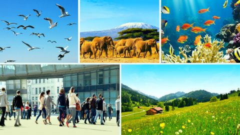 Iqiniso Lokulawula KoMdali Nokubusa Phezu Kwazo Zonke Izinto Nezidalwa Eziphilayo Likhuluma Ngobukhona Bangempela Begunya LoMdali